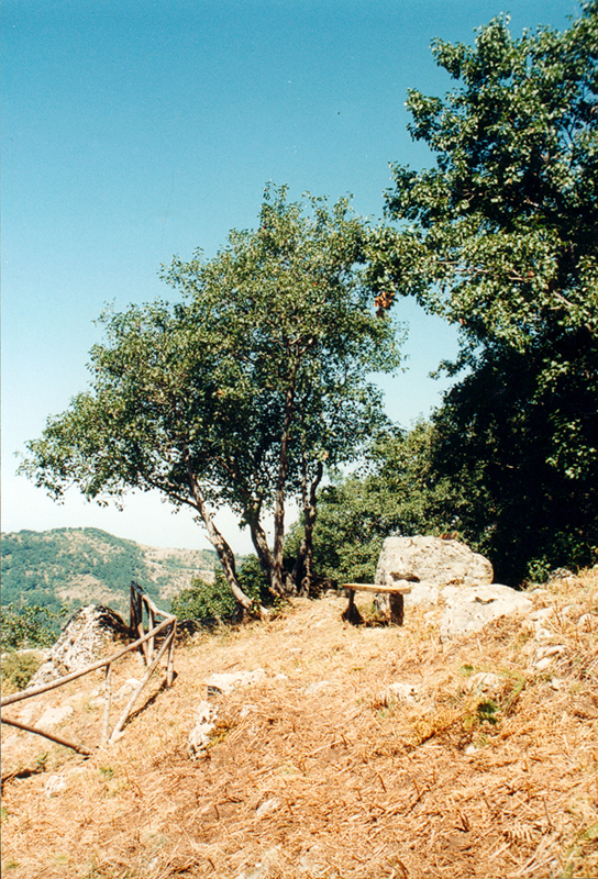 Panoramica di PRICUOCO