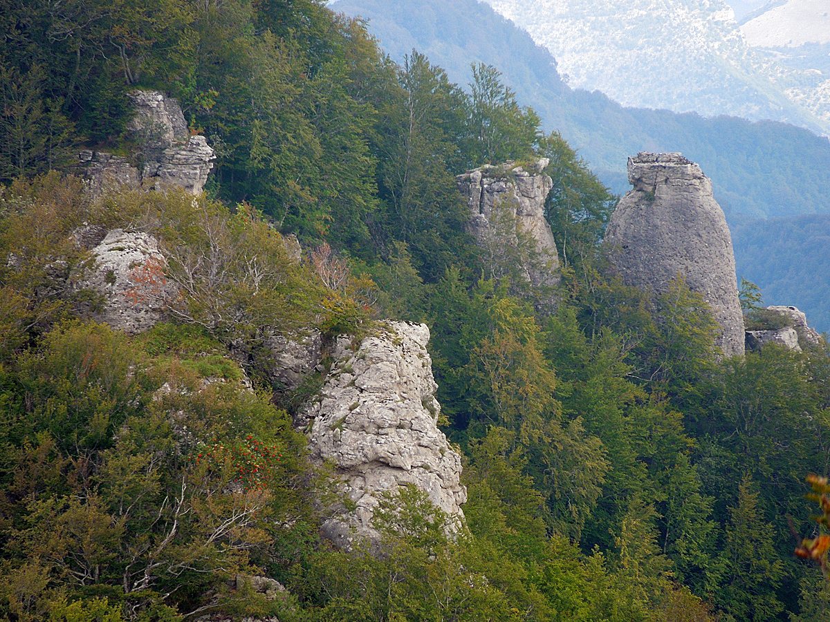 Panoramica di PRICUOCO