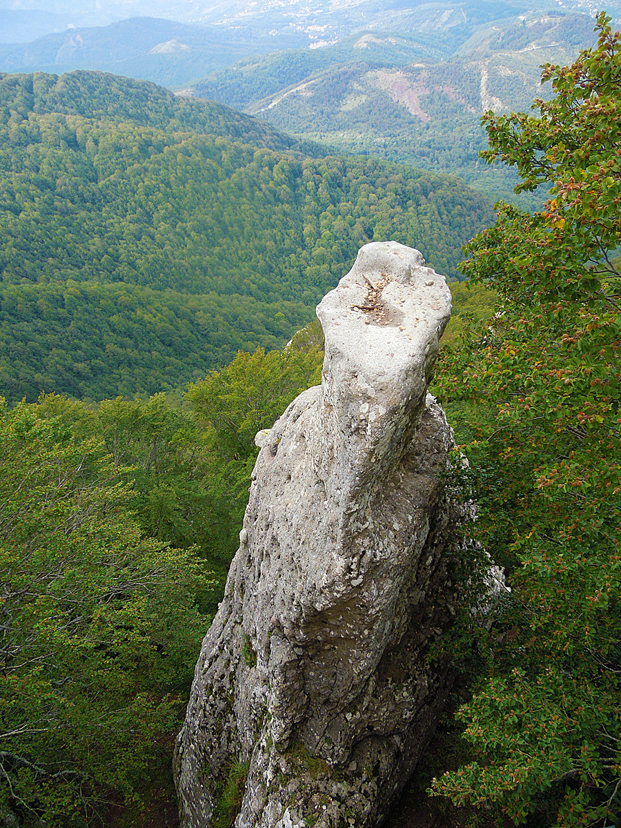 Panoramica di PRICUOCO